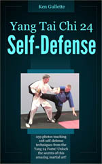 yang 24 forms self defense ebook cover
